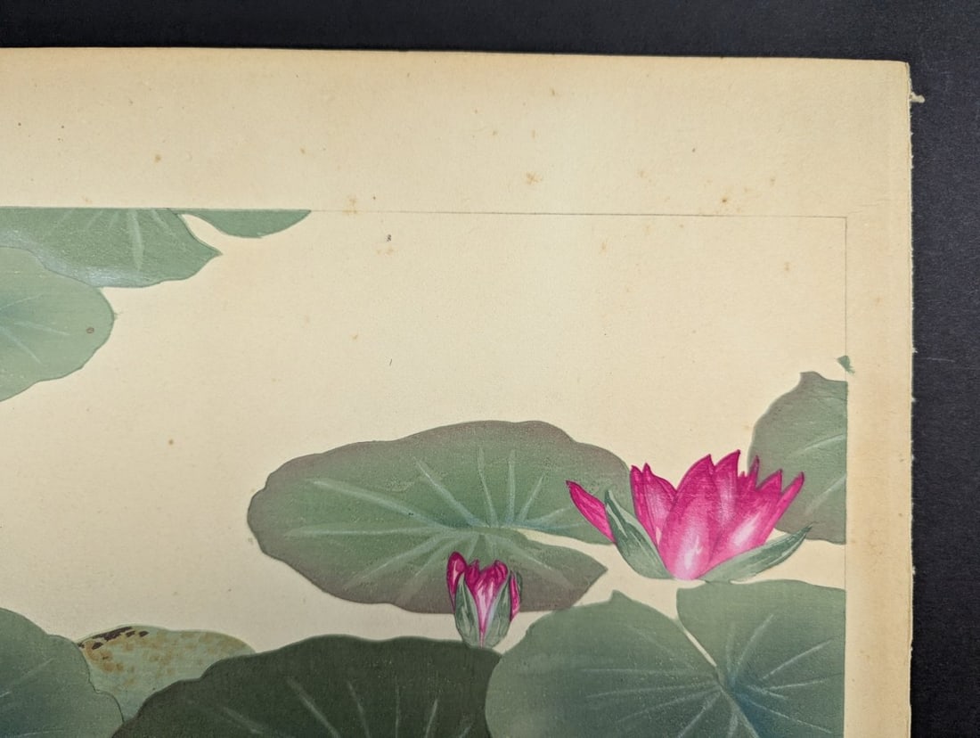 Water Lily Japanese Woodblock Print by Rakuzan Tsuchiya - 4
