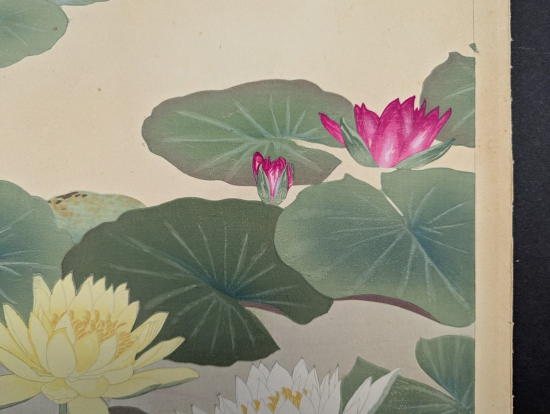Water Lily Japanese Woodblock Print by Rakuzan Tsuchiya - 5