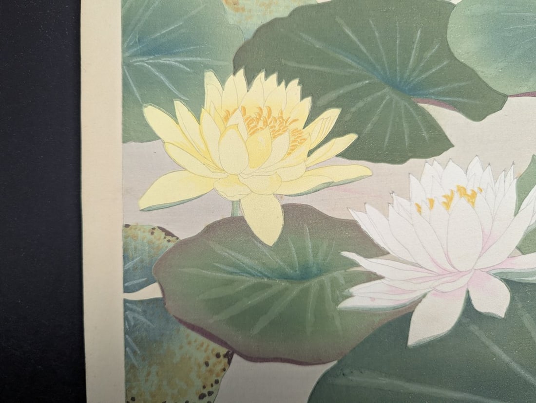 Water Lily Japanese Woodblock Print by Rakuzan Tsuchiya - 8