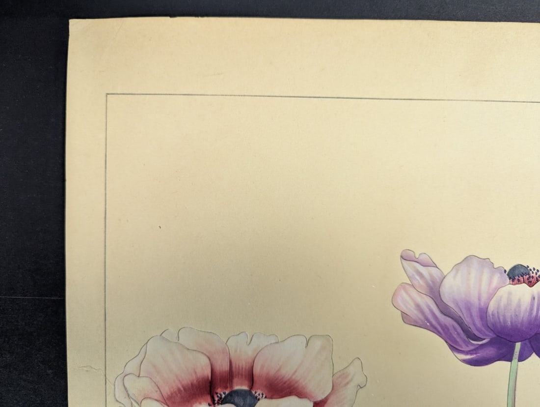 Japanese Woodblock Print 'Anemone' by Rakuzan KachÅ« - KachÅ-ga Artwork - 2