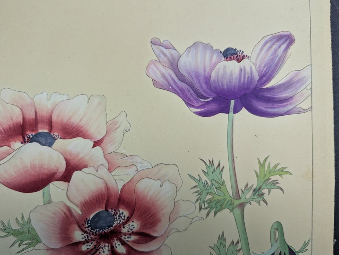 Japanese Woodblock Print 'Anemone' by Rakuzan KachÅ« - KachÅ-ga Artwork - 3