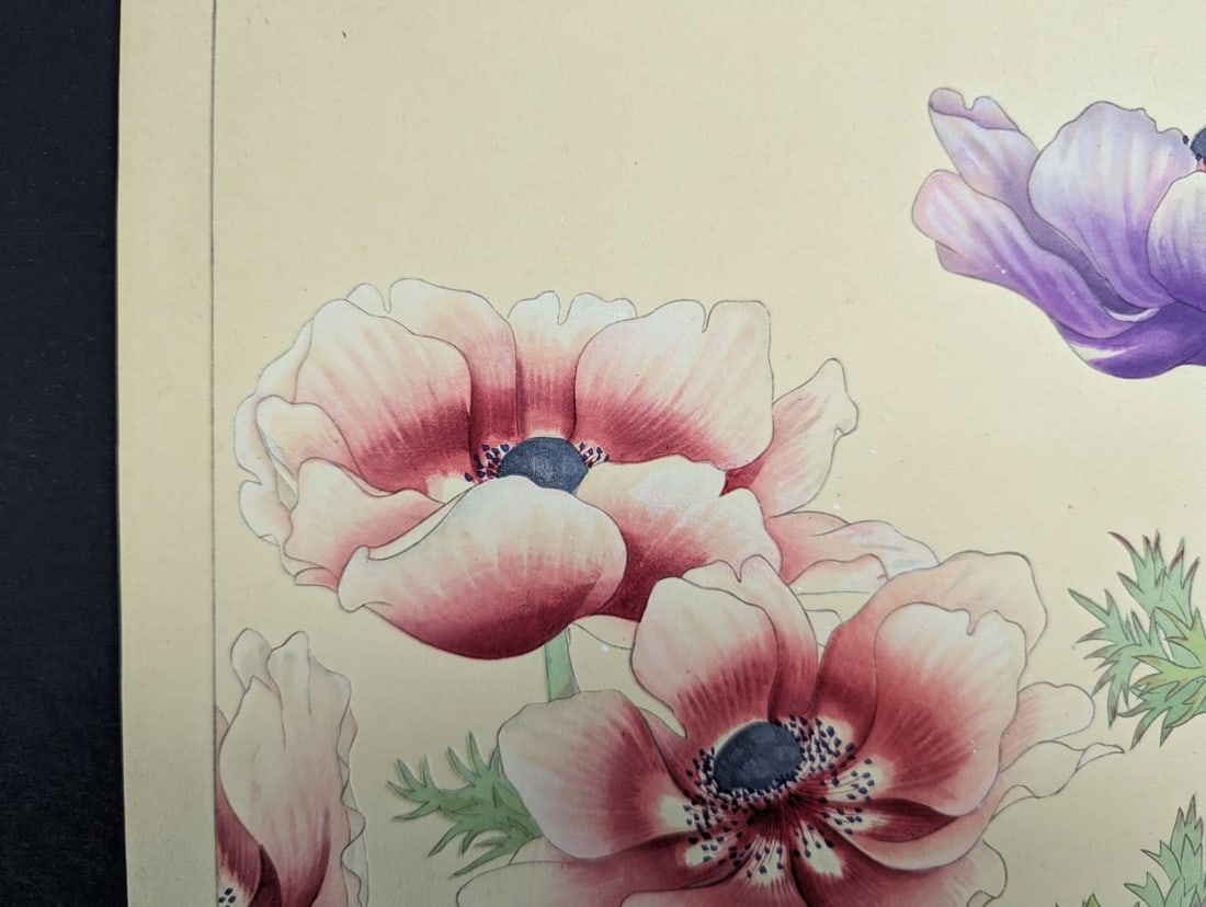Japanese Woodblock Print 'Anemone' by Rakuzan KachÅ« - KachÅ-ga Artwork - 4