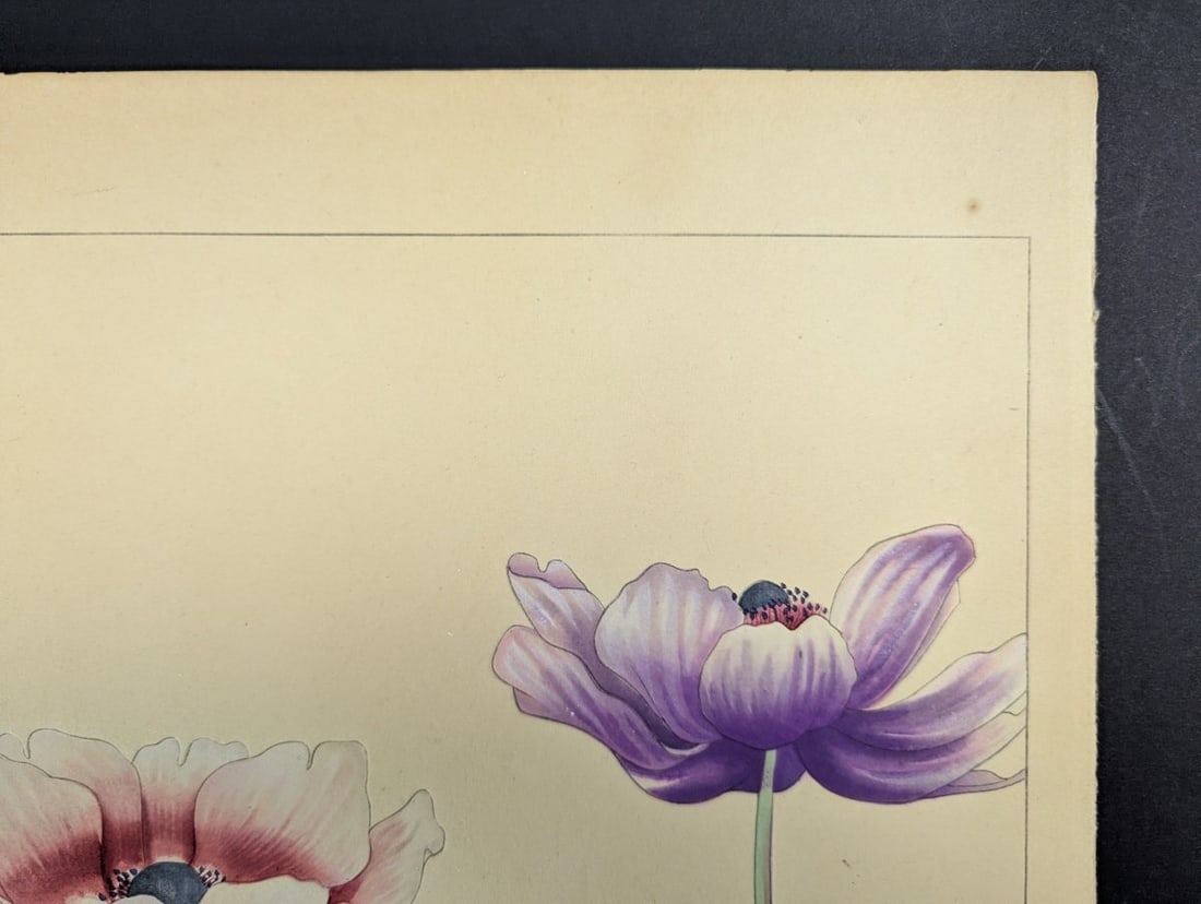 Japanese Woodblock Print 'Anemone' by Rakuzan KachÅ« - KachÅ-ga Artwork - 5