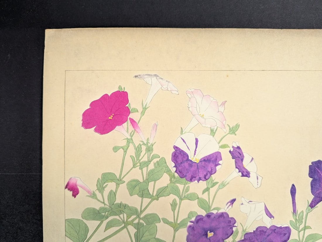 Rakuzan Tsuchiya Petunia Japanese Woodblock Print - KachÅ-ga Art - 2
