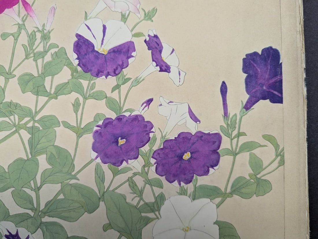 Rakuzan Tsuchiya Petunia Japanese Woodblock Print - KachÅ-ga Art - 3