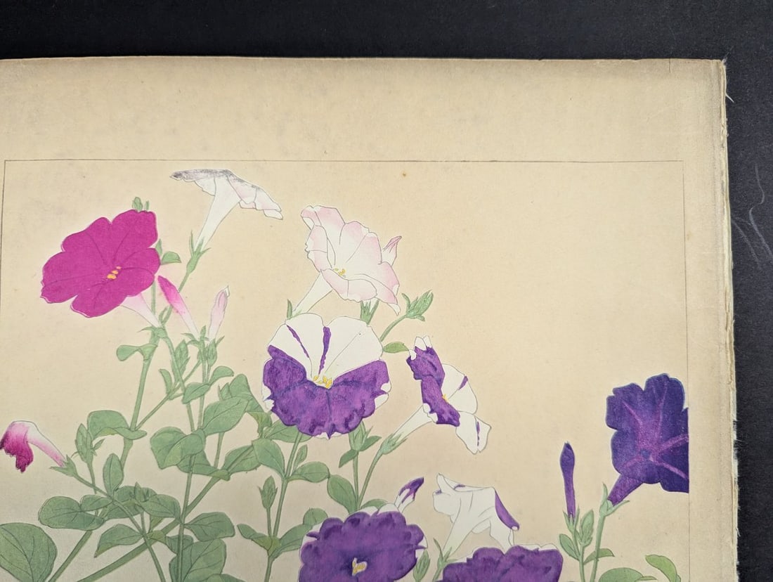 Rakuzan Tsuchiya Petunia Japanese Woodblock Print - KachÅ-ga Art - 4