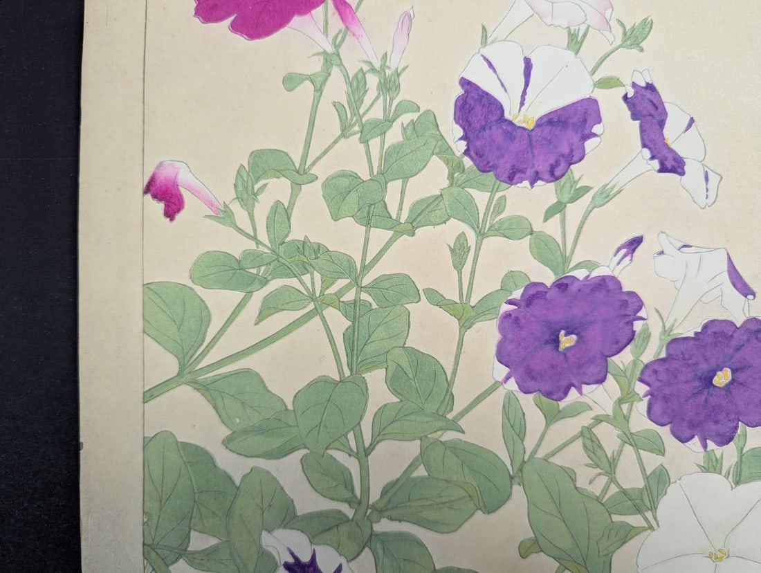 Rakuzan Tsuchiya Petunia Japanese Woodblock Print - KachÅ-ga Art - 5