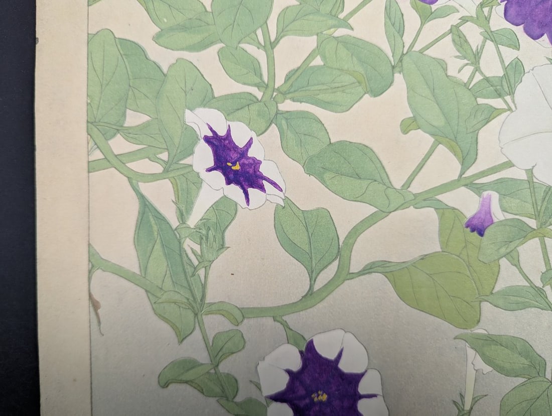 Rakuzan Tsuchiya Petunia Japanese Woodblock Print - KachÅ-ga Art - 7