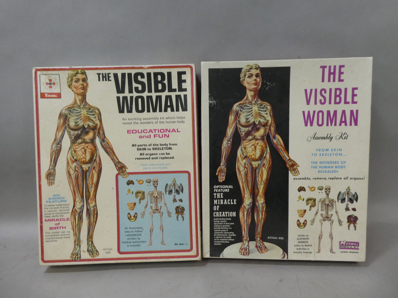 Pair NOS c1960 Renwal The Visible Woman Model Kit NO 804 & 804:598: **Important** Please read below description on how to avoid high shipping costs. Pair NOS c1960 Renwal The Visible Woman Model Kit NO 804 & 804:598 Complete in boxes, boxes show some wear with age 13