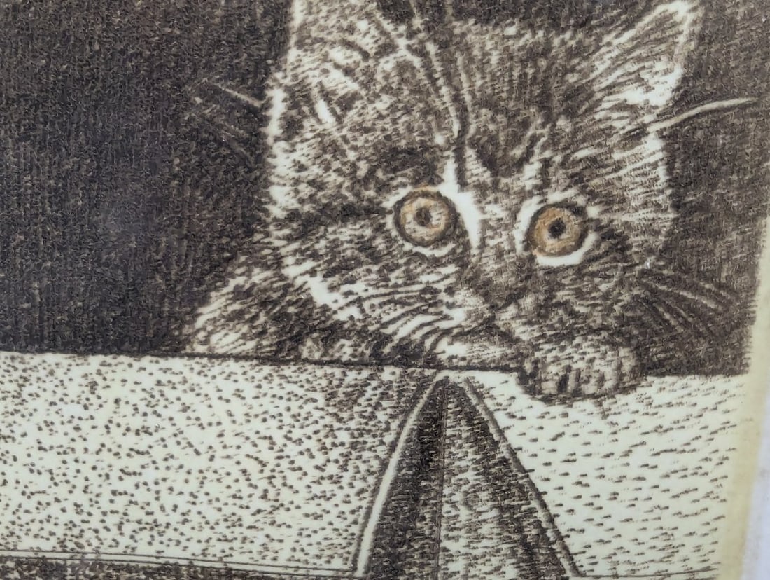 Richard Volpe Signed Numbered Intaglio Print New Address Kitten in Box Framed Art - 10