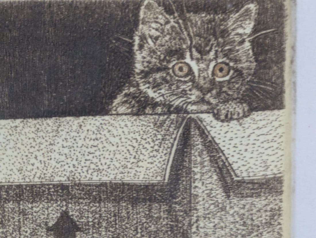 Richard Volpe Signed Numbered Intaglio Print New Address Kitten in Box Framed Art - 4