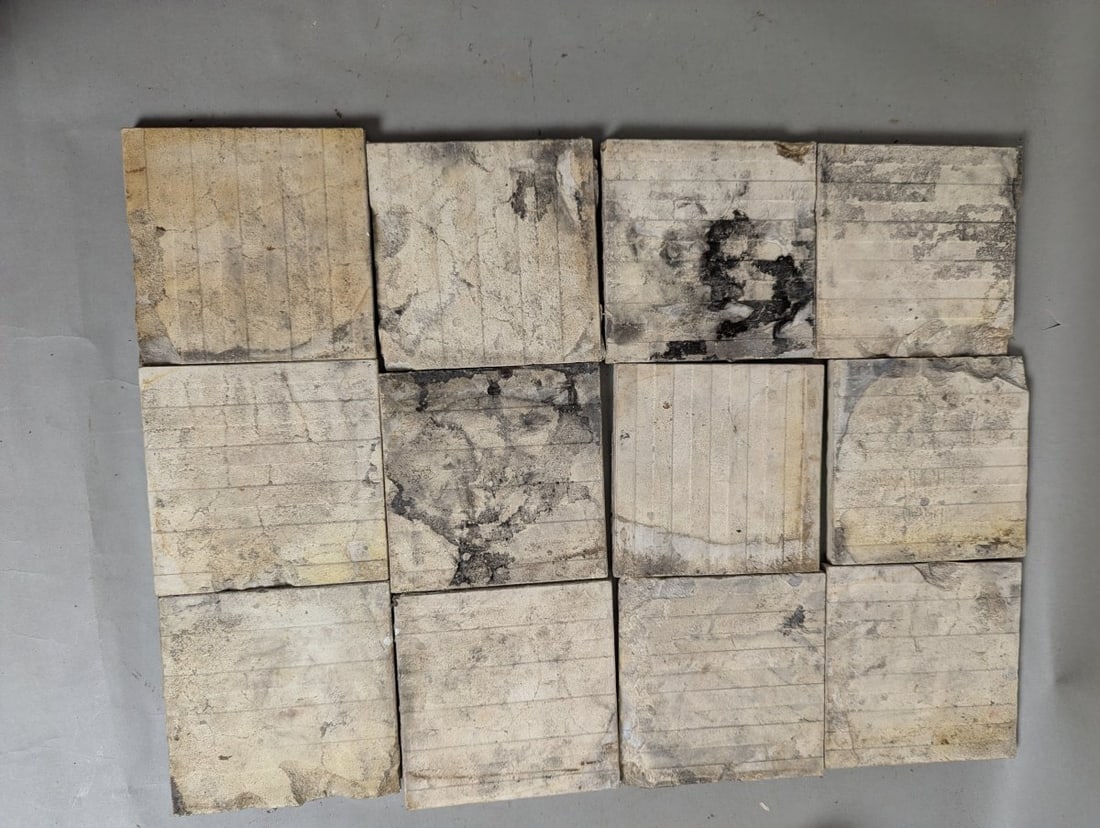 Set of 12 Antique Trent Tile Co. Grapevine Majolica Tiles Arts & Crafts Design - 9