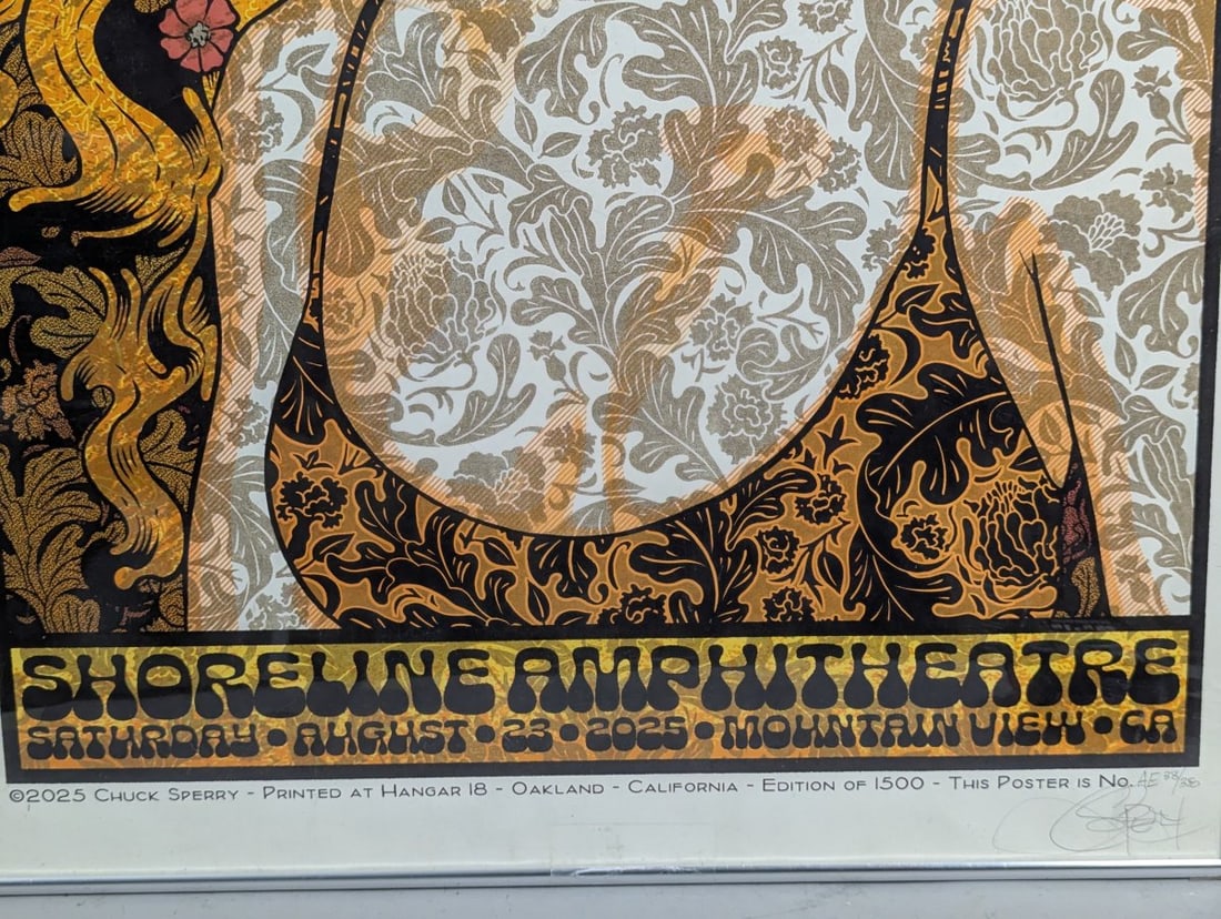 Chuck Sperry Dave Matthews Band Shoreline 2025 Artist Edition Psychedelic Screen Print - 6