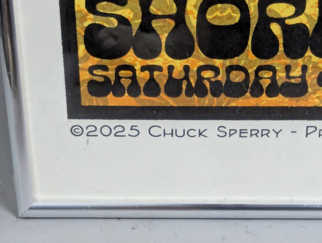 Chuck Sperry Dave Matthews Band Shoreline 2025 Artist Edition Psychedelic Screen Print - 8