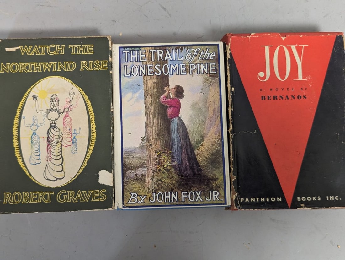 Lot of 20 Vintage Fictional and Non-Fiction Books by Notable Authors - 7