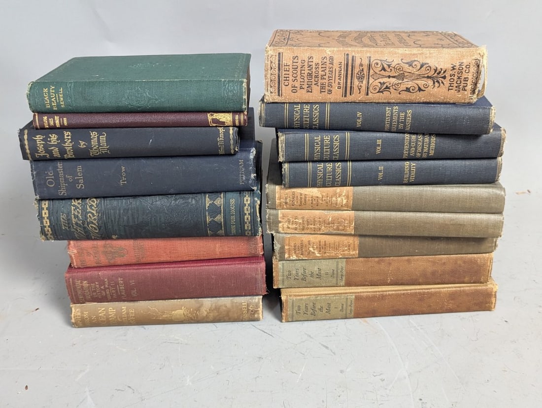 Lot of 17 Antique and Vintage Hardcover Books Multiple Genres Collectible Literature (1 of 6)