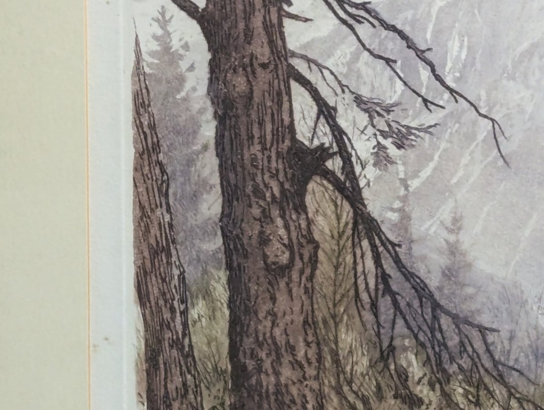 Henri Jourdain ForÃªt de Passy Framed Colored Etching Limited Edition Art - 5