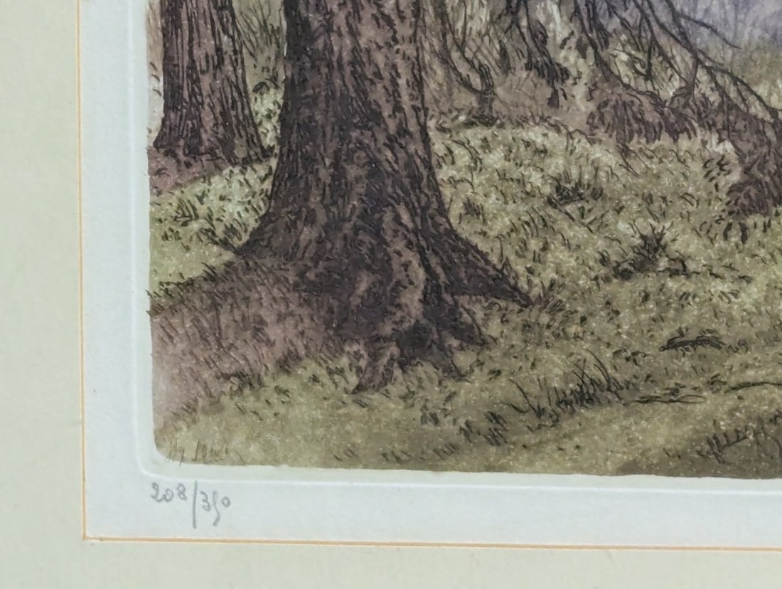 Henri Jourdain ForÃªt de Passy Framed Colored Etching Limited Edition Art - 7