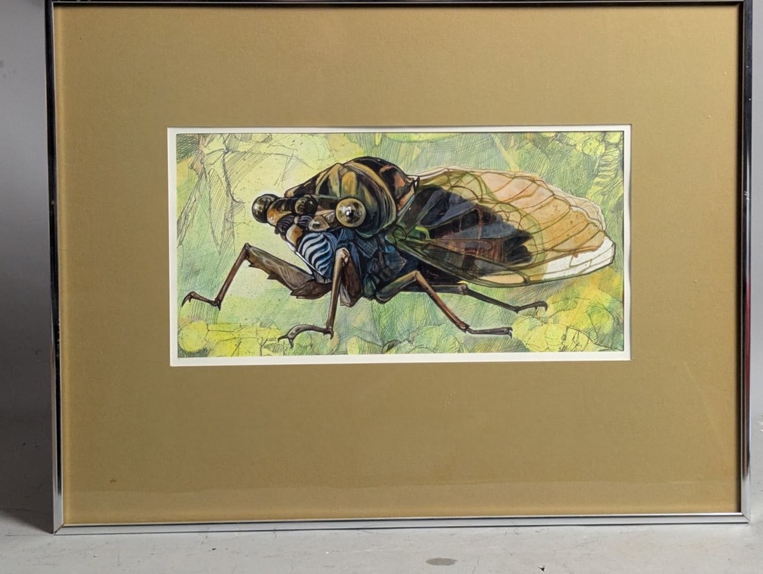 Original Framed Cicada Illustration Entomological Art Insect Design Mixed Media: **Important** Please read below description on how to avoid high shipping costs. Presenting an exquisite original framed cicada illustration! This stunning artwork measures 25 x 19 x 1 inches with