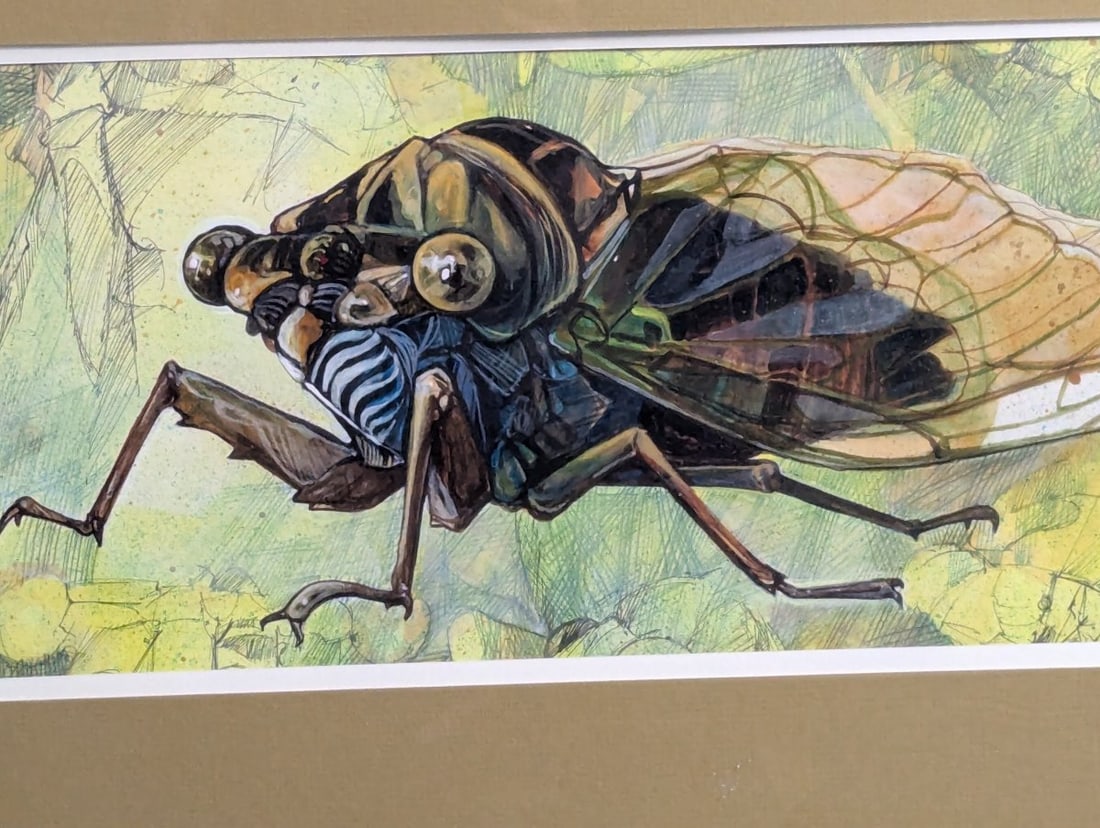 Original Framed Cicada Illustration Entomological Art Insect Design Mixed Media - 2