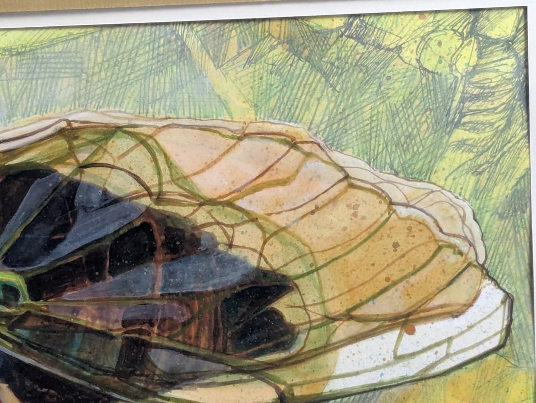 Original Framed Cicada Illustration Entomological Art Insect Design Mixed Media - 5