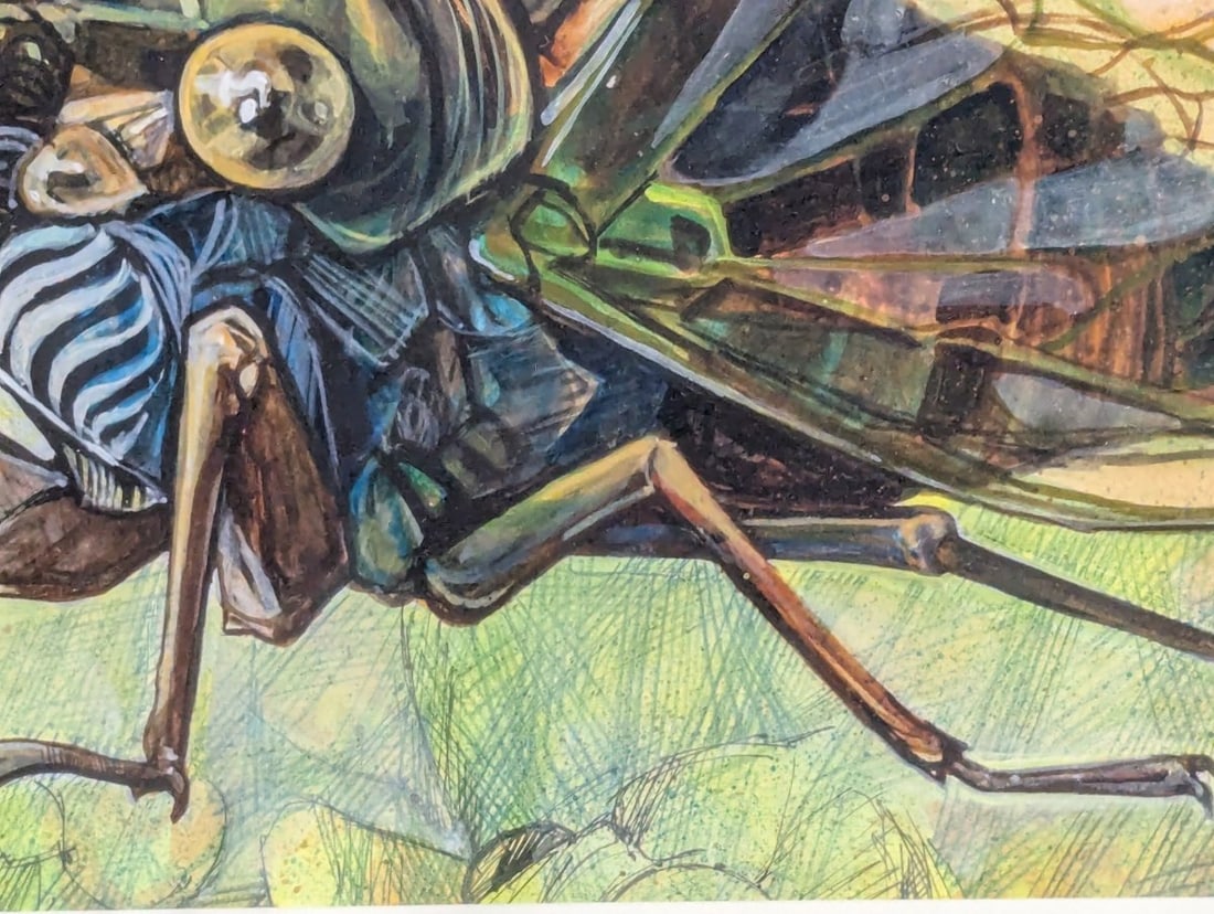 Original Framed Cicada Illustration Entomological Art Insect Design Mixed Media - 7
