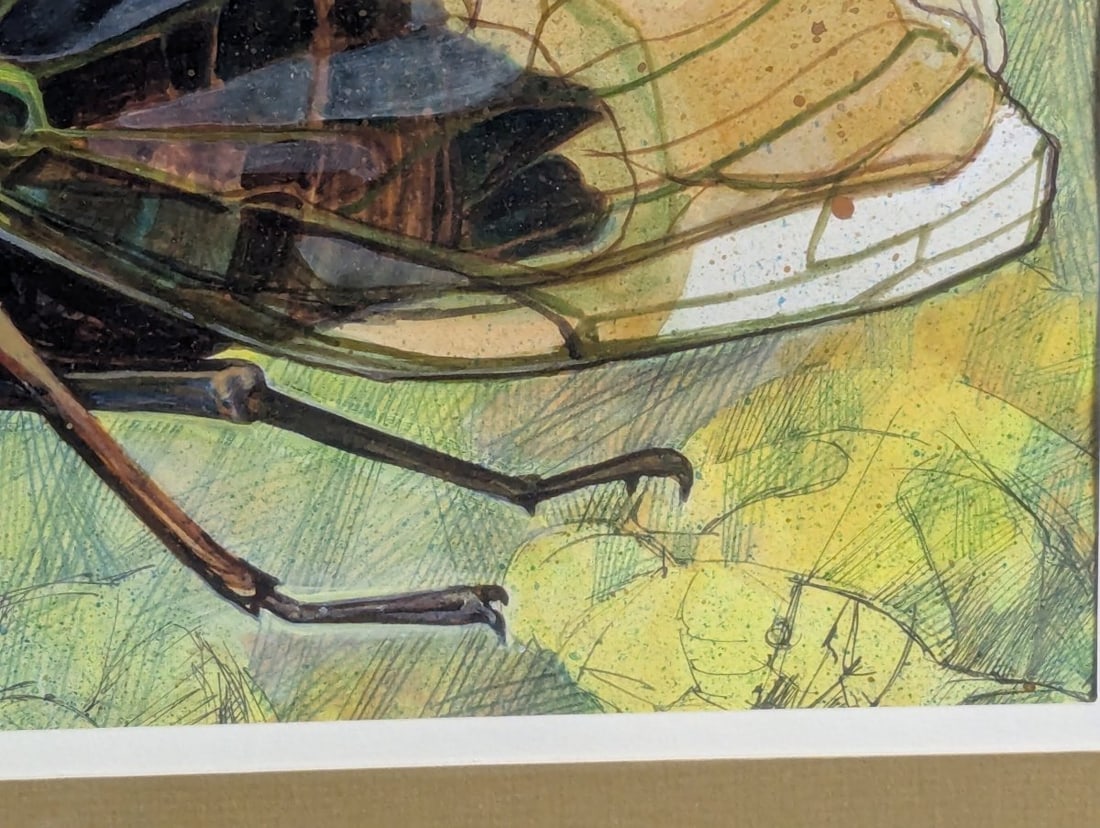 Original Framed Cicada Illustration Entomological Art Insect Design Mixed Media - 8