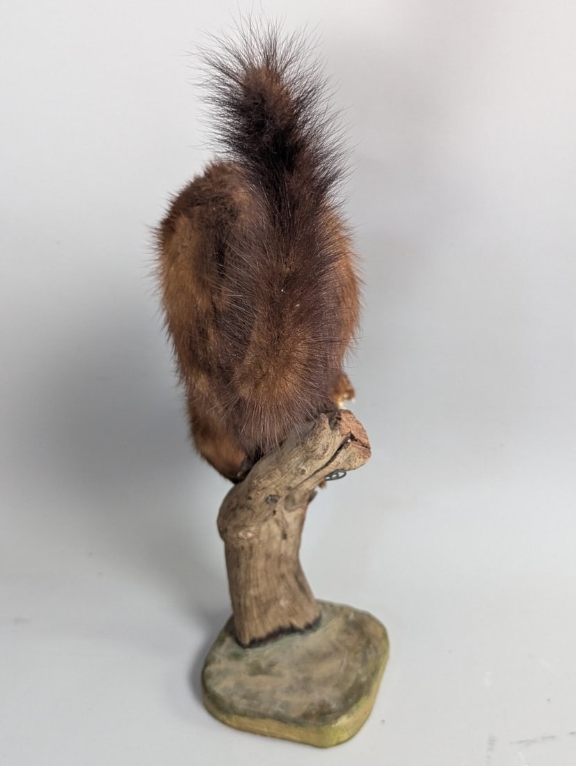 Vintage Mink Taxidermy Mount by Joe Marcinov Folk Art Unique Home Decor - 4
