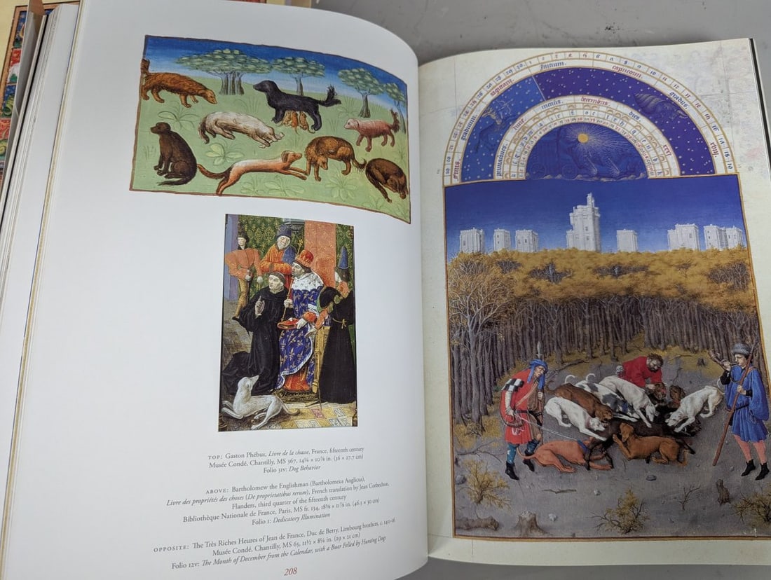 The Grand Medieval Bestiary Animals in Illuminated Manuscripts by Christian Heck Remy Cordonnier - 7