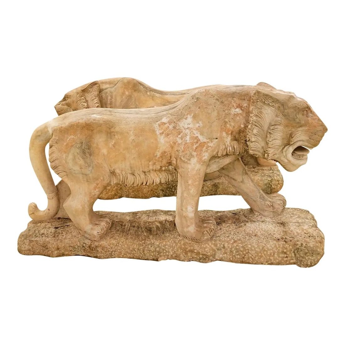 Stunning Pair of Life-Size Striated Pink Marble Lions for Grand Entryway or Garden - 7