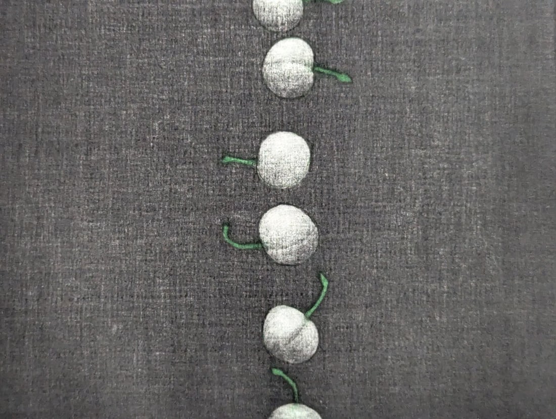 Yozo Hamaguchi Color Mezzotint of Twenty-Two Cherries Japanese Print c1990 - 6