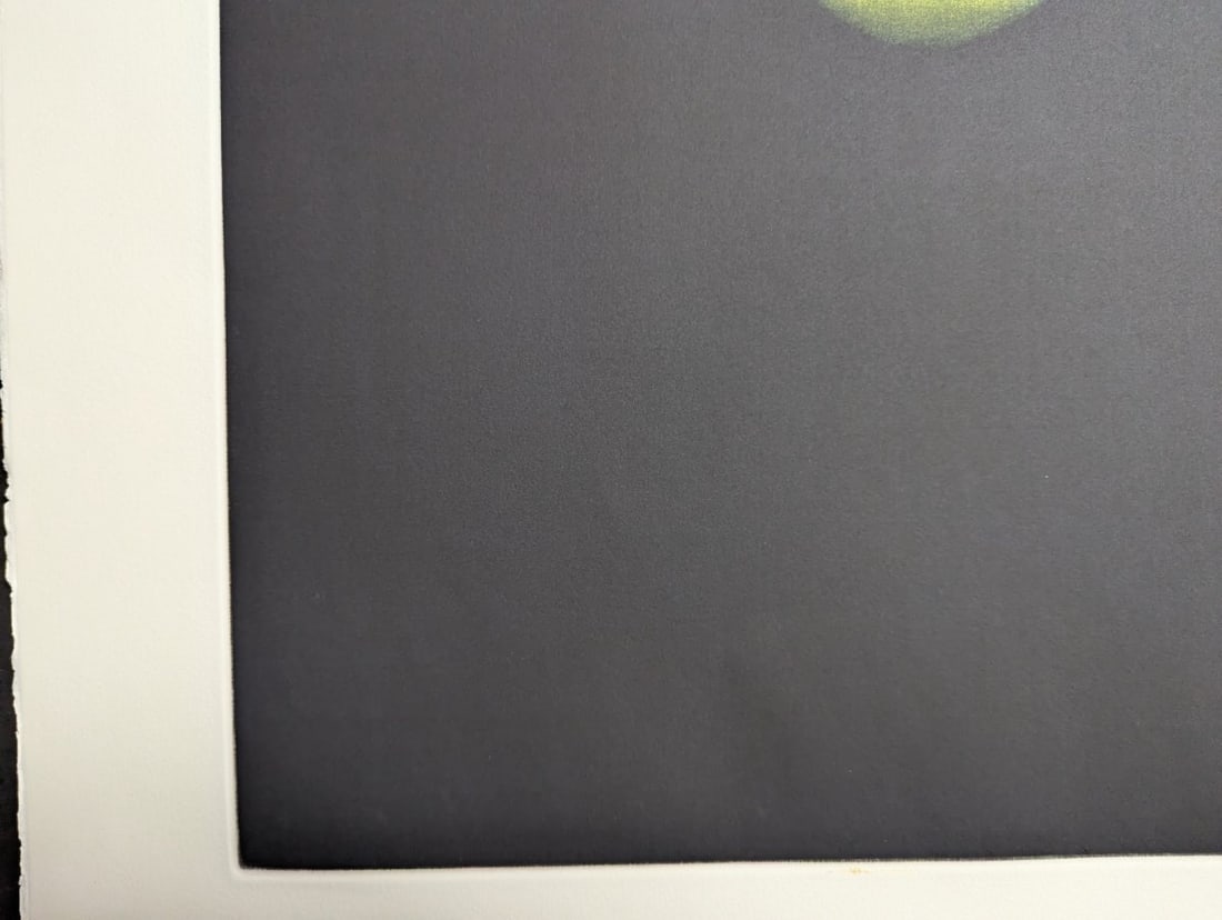 Yozo Hamaguchi Color Mezzotint Deux Citrons et Bouteille Japanese Print c1990 - 6