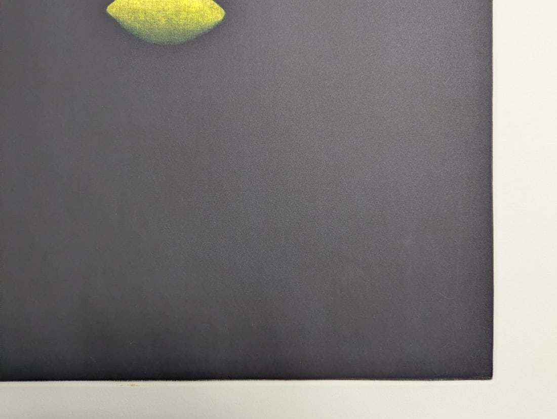Yozo Hamaguchi Color Mezzotint Deux Citrons et Bouteille Japanese Print c1990 - 7