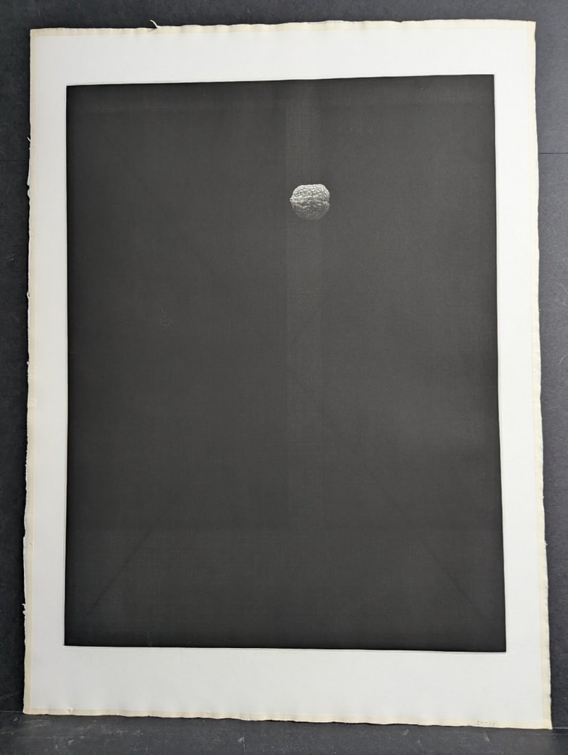 Yozo Hamaguchi Japanese Color Mezzotint Walnut Art Print c1990 Rich Tones (1 of 8)
