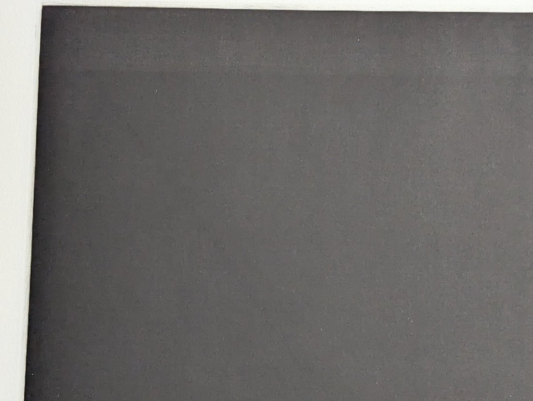 Yozo Hamaguchi Japanese Color Mezzotint Walnut Art Print c1990 Rich Tones - 2
