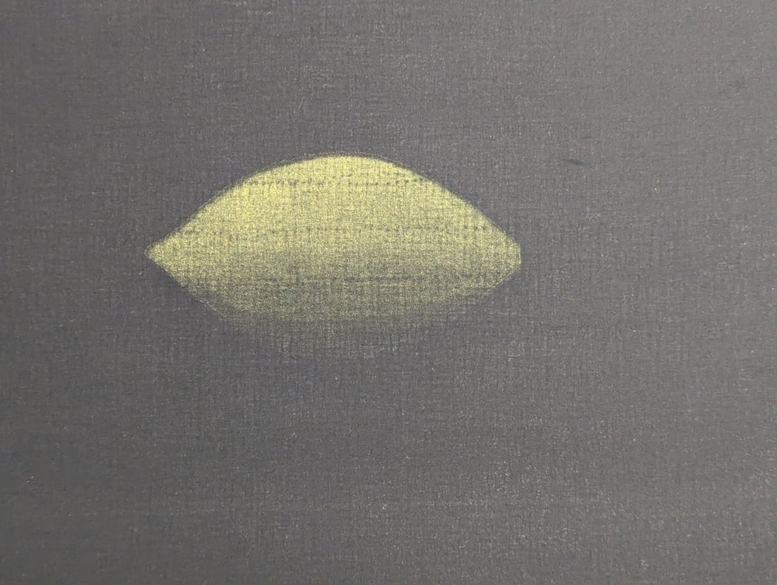 Yozo Hamaguchi Two Lemons and a Bottle c1990 Color Mezzotint Japanese Art - 6