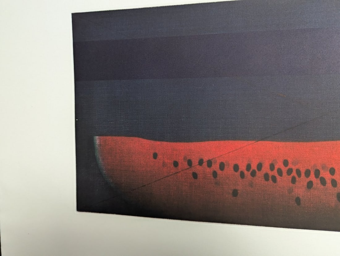 Yozo Hamaguchi Watermelon Color Mezzotint Japanese Print c1990 Art - 3