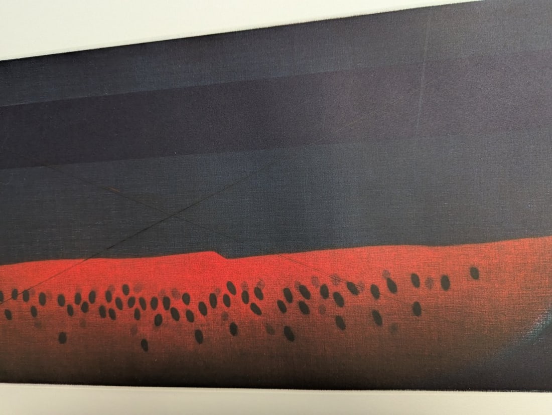 Yozo Hamaguchi Watermelon Color Mezzotint Japanese Print c1990 Art - 5