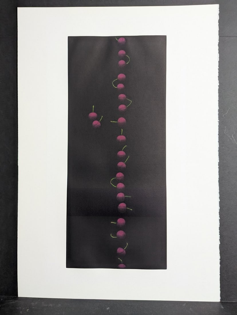 Yozo Hamaguchi Nineteen Cherries Color Mezzotint Japanese Print c1990 (1 of 7)