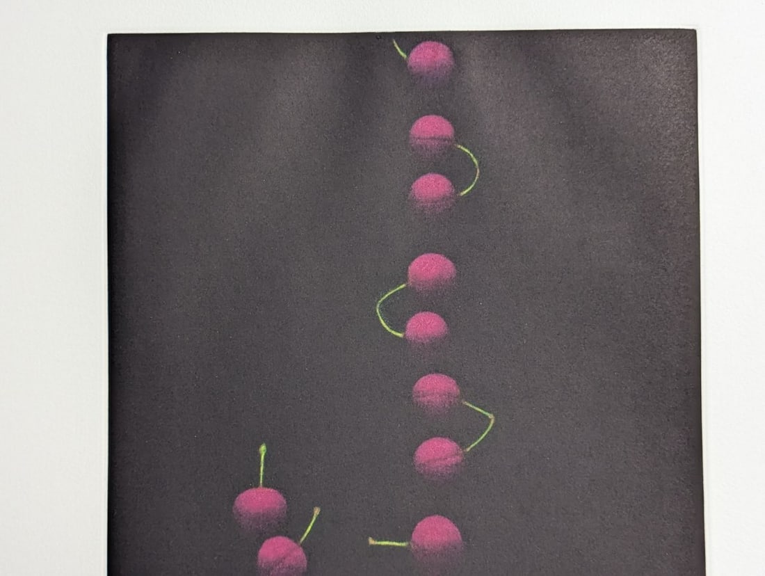 Yozo Hamaguchi Nineteen Cherries Color Mezzotint Japanese Print c1990 - 3
