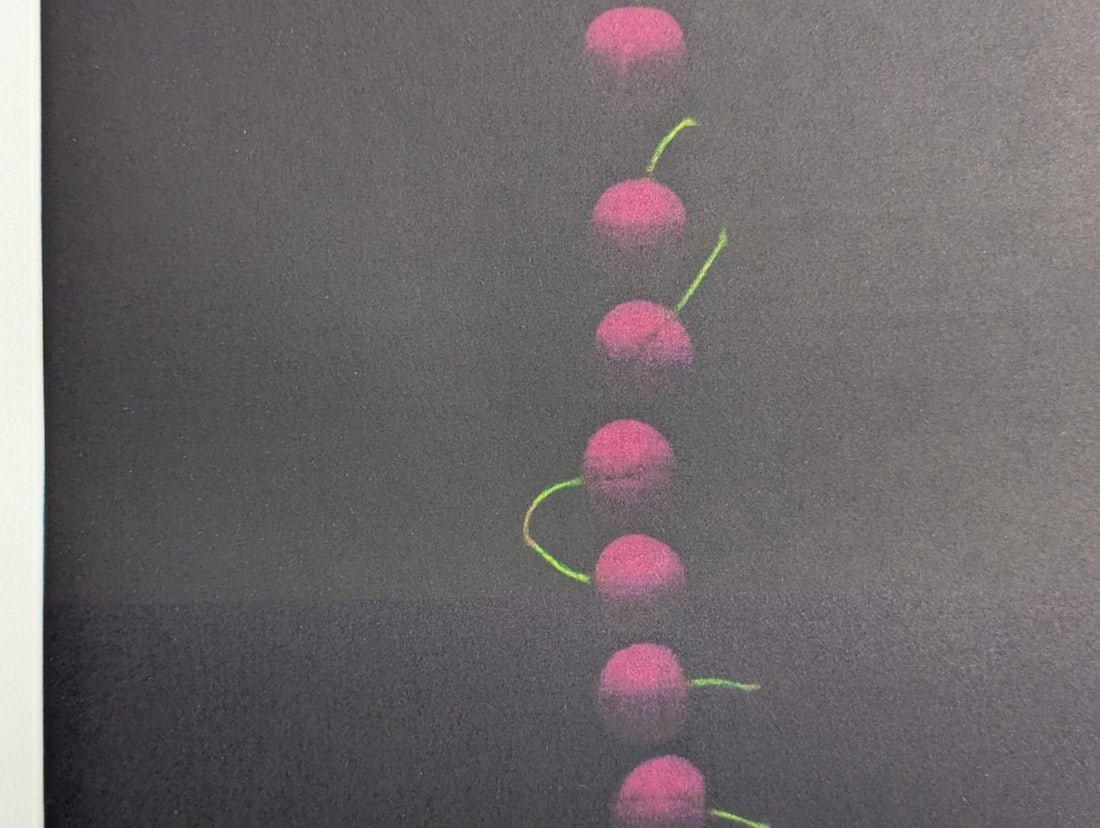 Yozo Hamaguchi Nineteen Cherries Color Mezzotint Japanese Print c1990 - 5