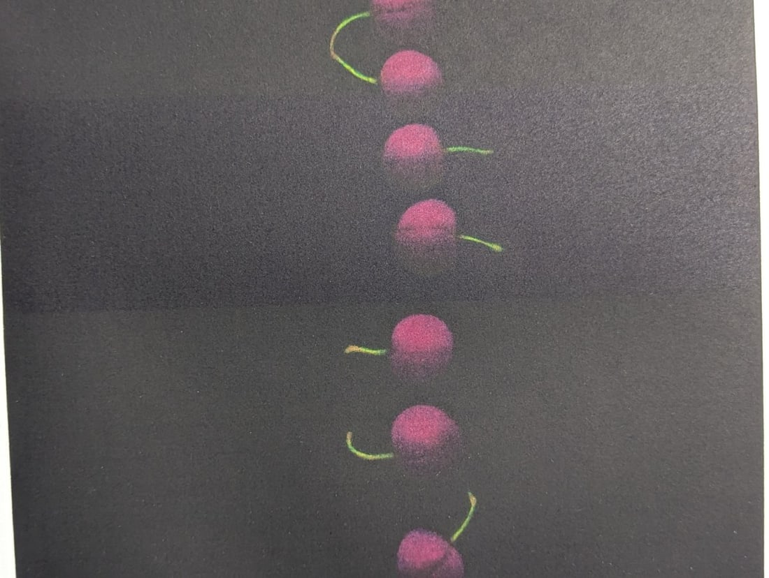 Yozo Hamaguchi Nineteen Cherries Color Mezzotint Japanese Print c1990 - 6