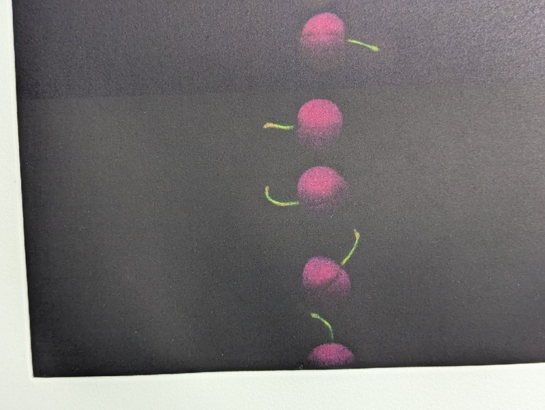 Yozo Hamaguchi Nineteen Cherries Color Mezzotint Japanese Print c1990 - 7