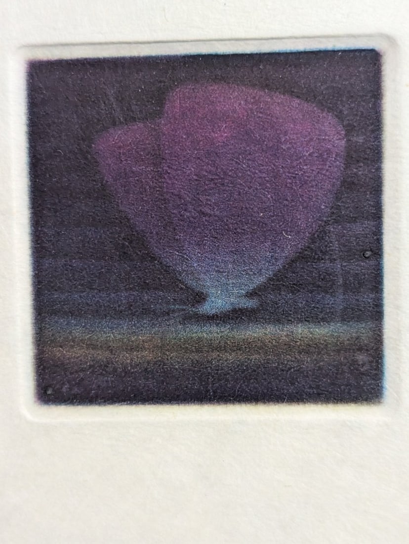 Yozo Hamaguchi Color Mezzotint Violette 119 c1990 Japanese Print Art Collectible - 3