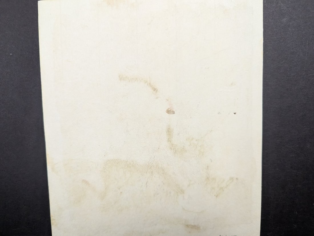 Yashima Gakutei Japanese Woodblock Print c1830 Surimono Courtesan Seated on a Carp - 5