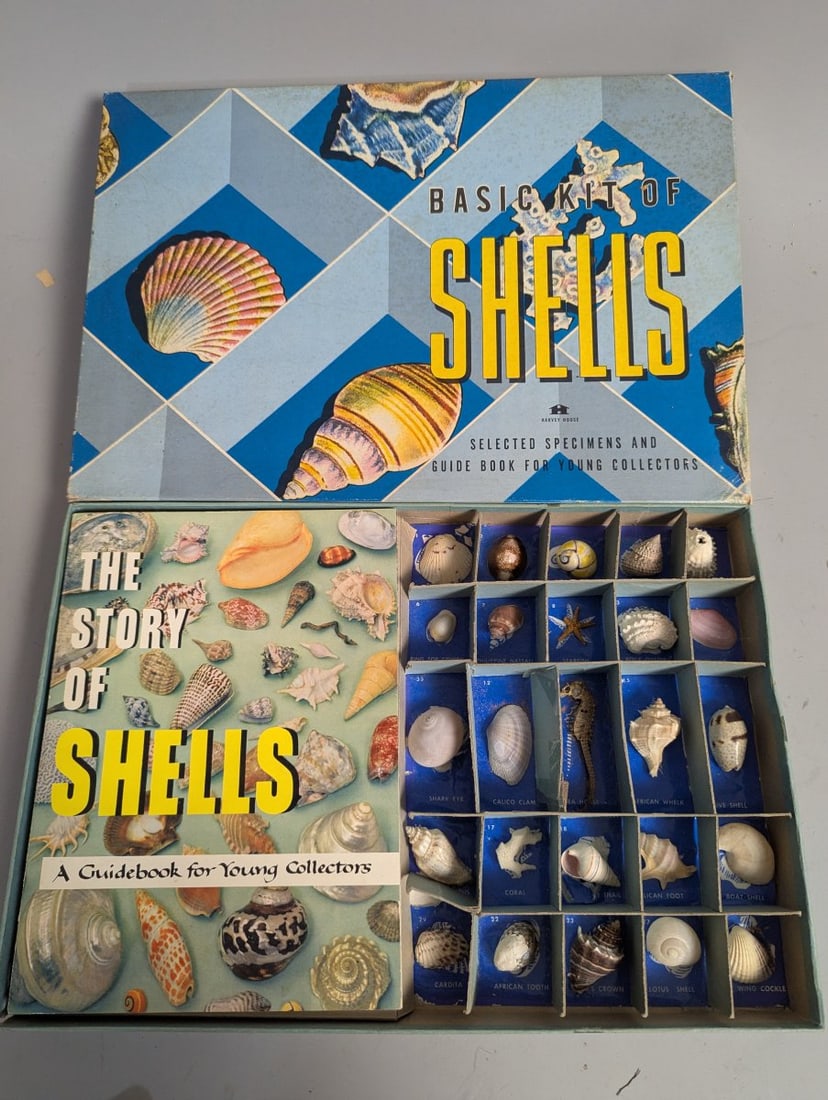 Vintage 1956 Harvey House Basic Kit of Shells Educational Science Kit for Collectors: **Important** Please read below description on how to avoid high shipping costs. Delve into the world of marine wonders with the Vintage 1956 Harvey House 'Basic Kit of Shells'. Measuring 10 1/2 x 15