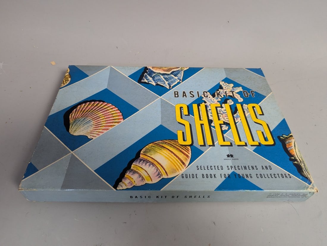 Vintage 1956 Harvey House Basic Kit of Shells Educational Science Kit for Collectors - 7