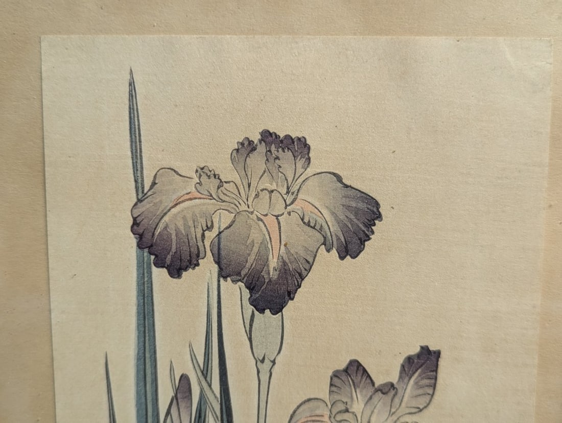 Imao Keinen Japanese Woodblock Print 'Iris and Frog' from Keinen Kacho Gafu - 3