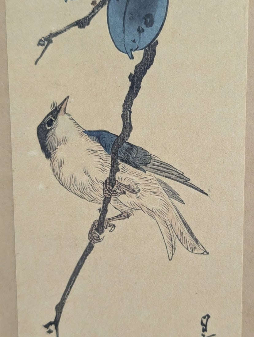 Yoshimoto Gesso Bird on Camellia Japanese Woodblock Print Shin-Hanga Art - 5