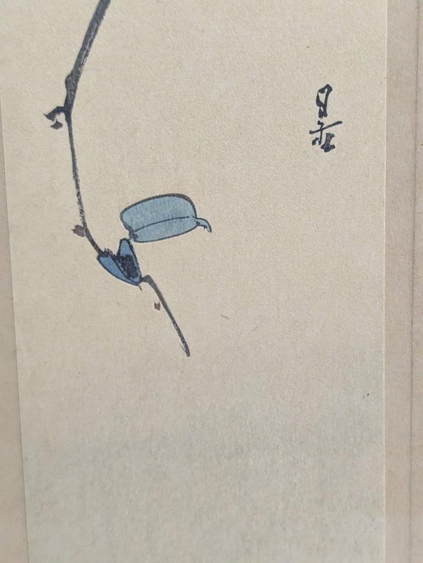 Yoshimoto Gesso Bird on Camellia Japanese Woodblock Print Shin-Hanga Art - 6